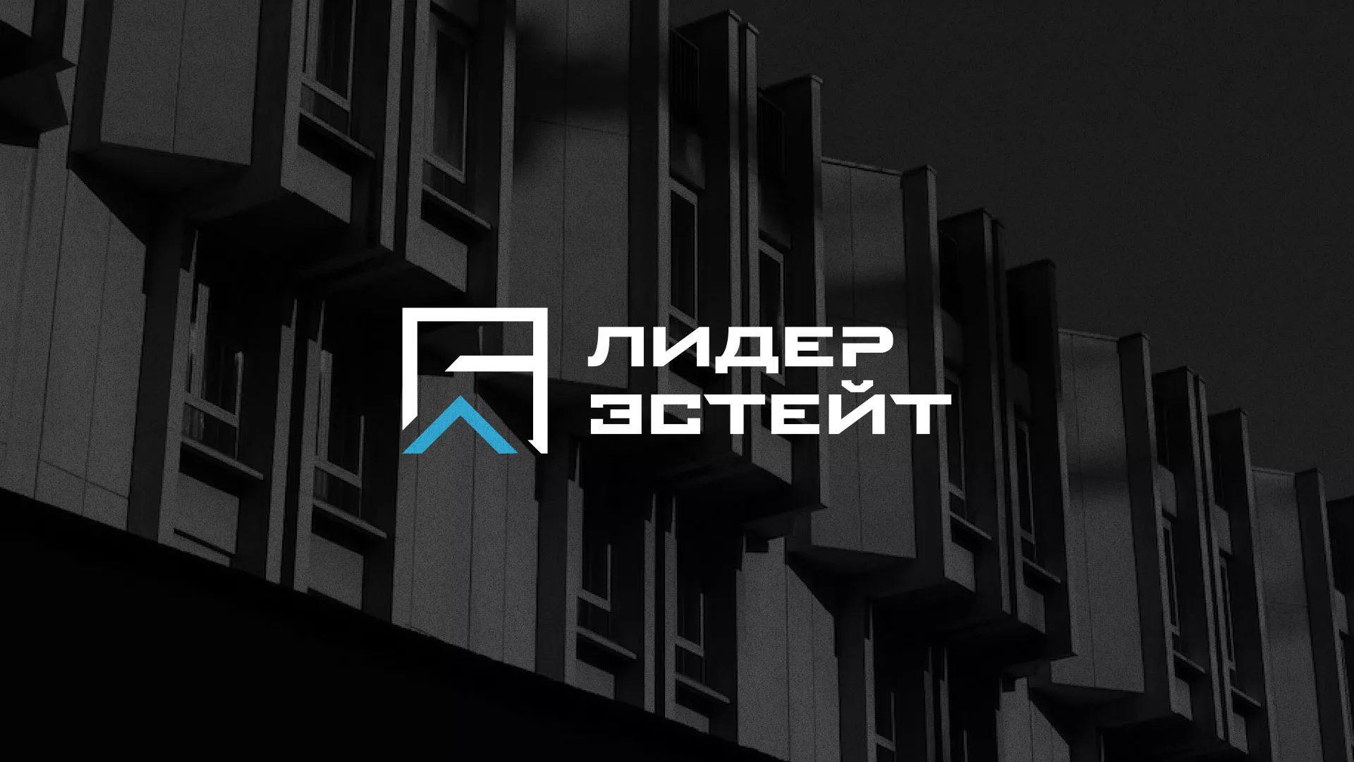 Разработка логотипа агентства недвижимости «Лидер Эстейт» в Щелково